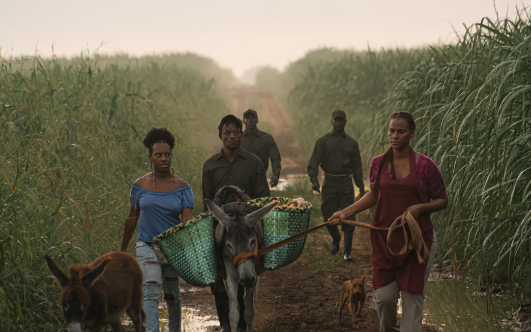 Protected: Screening: Sugar Island