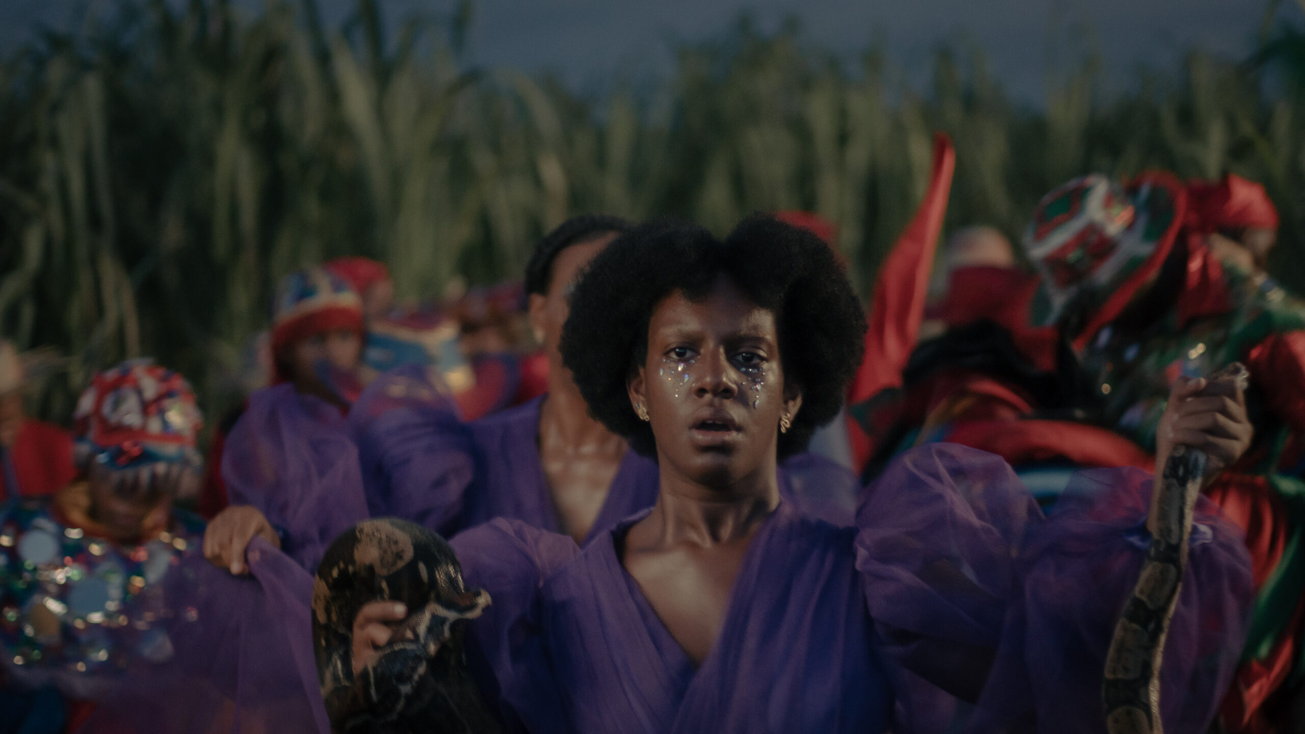 Sugar Island still